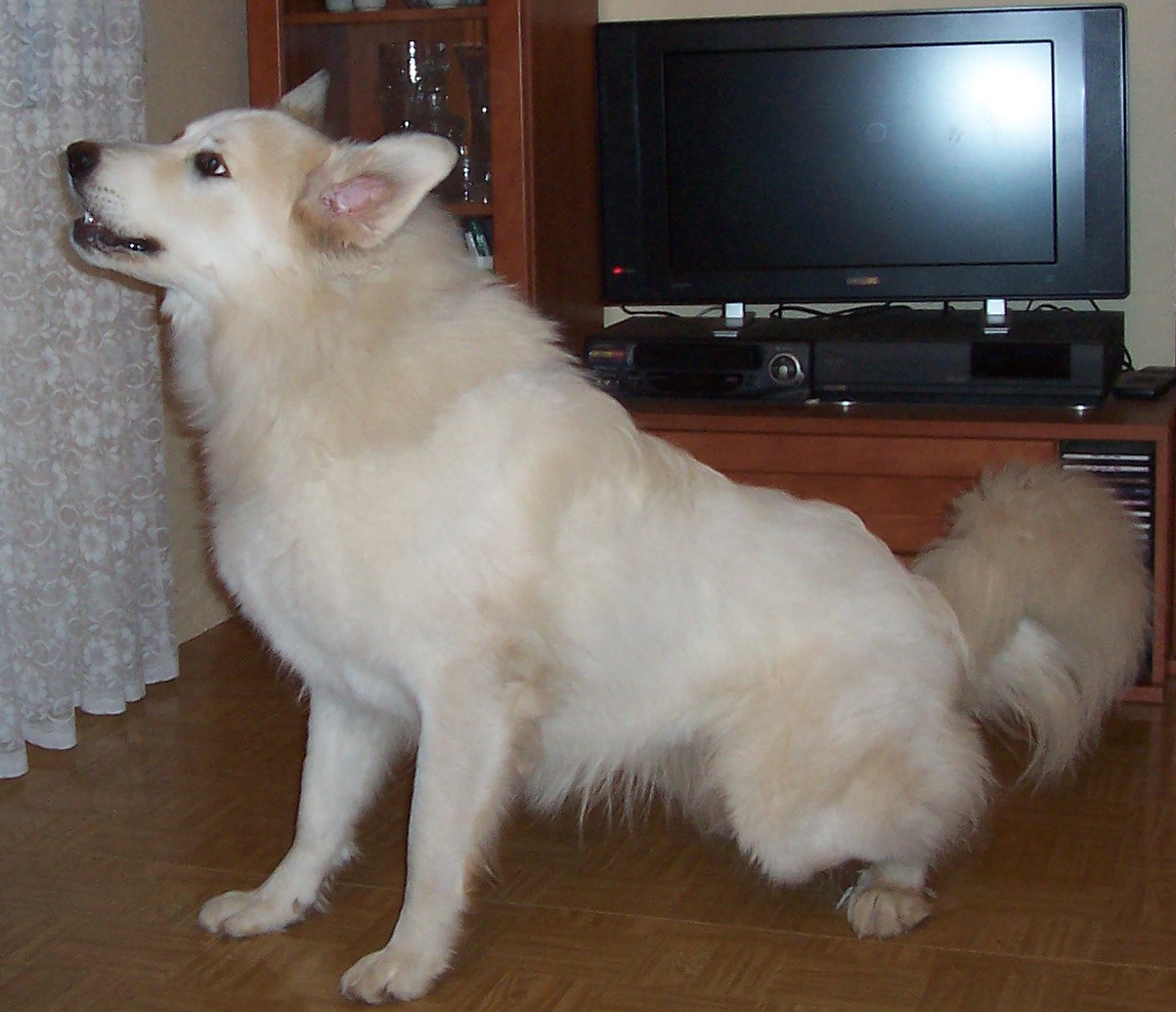 2007 10 15