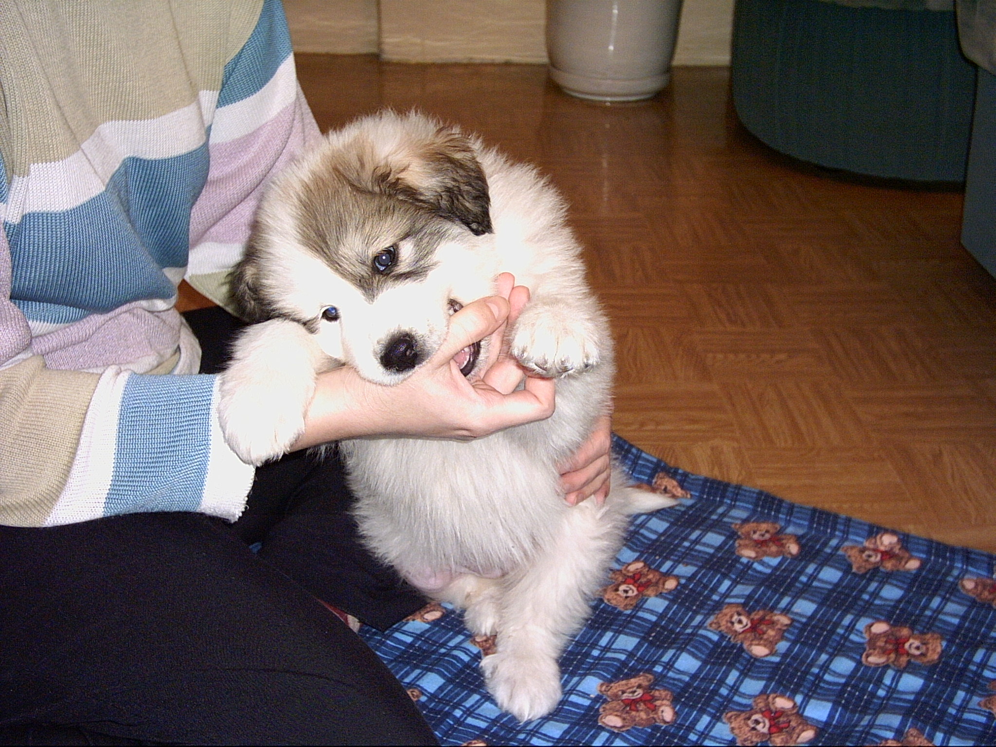 PICT0027.JPG