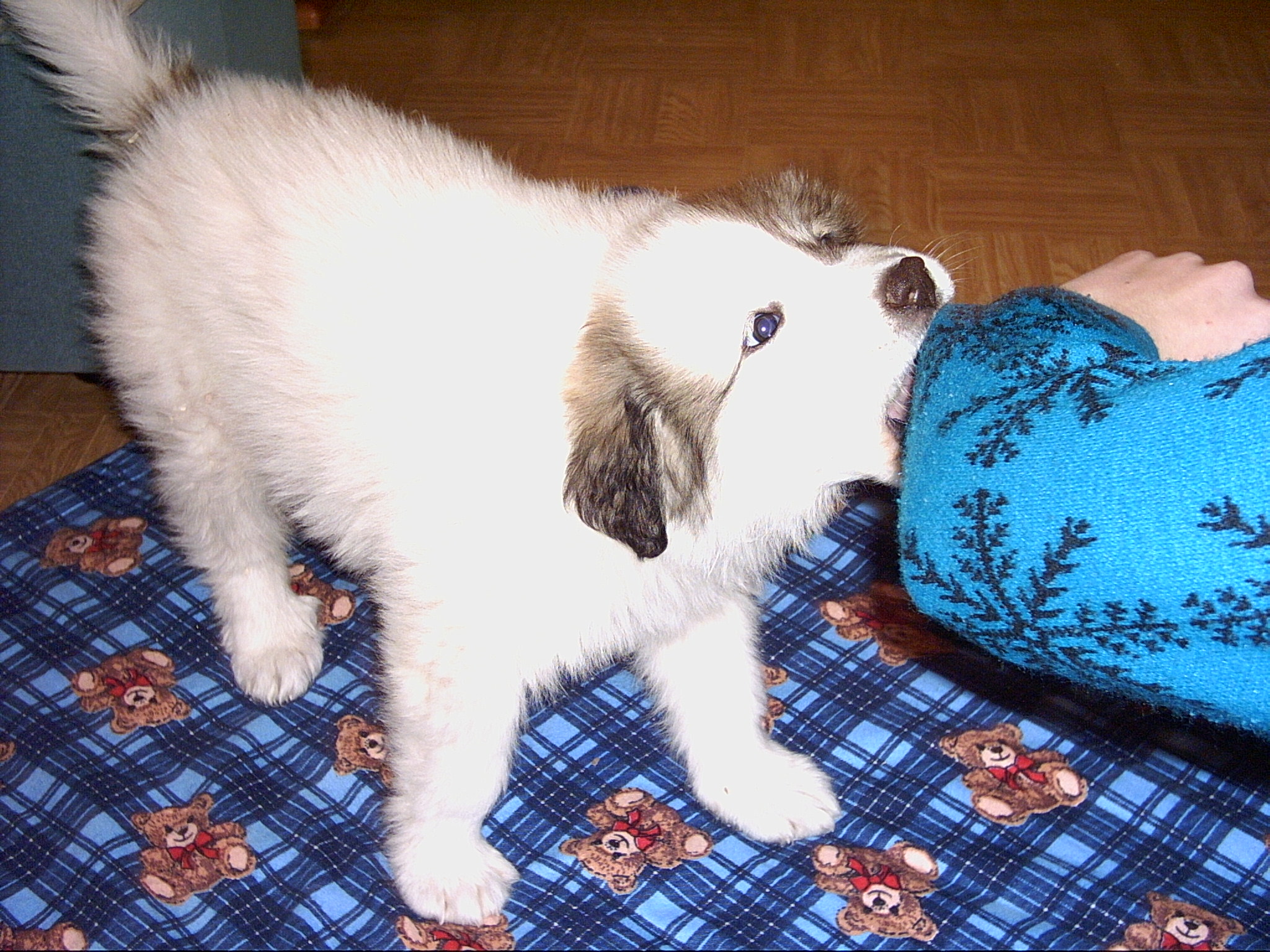 PICT0030.JPG