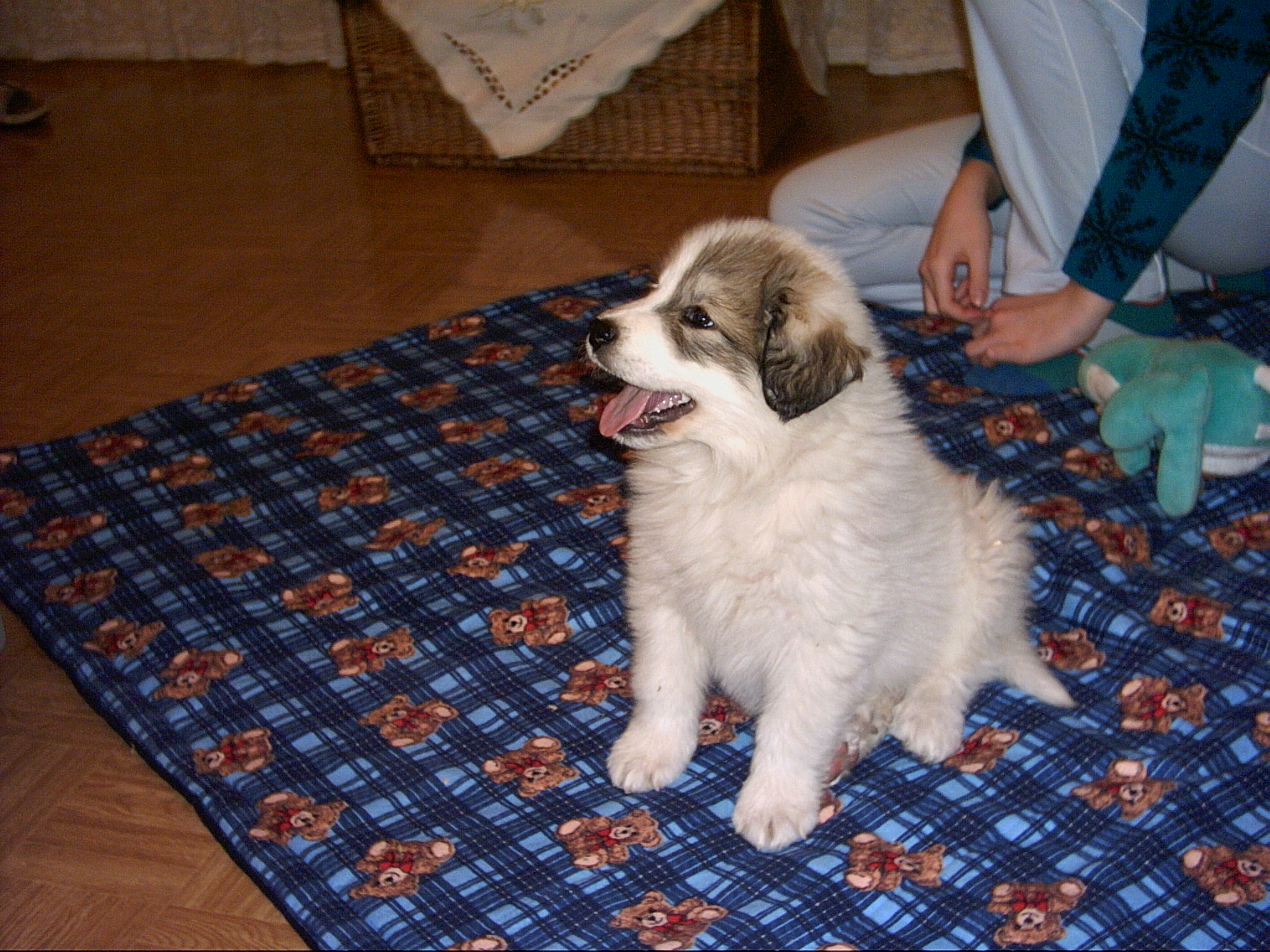 PICT0031.JPG