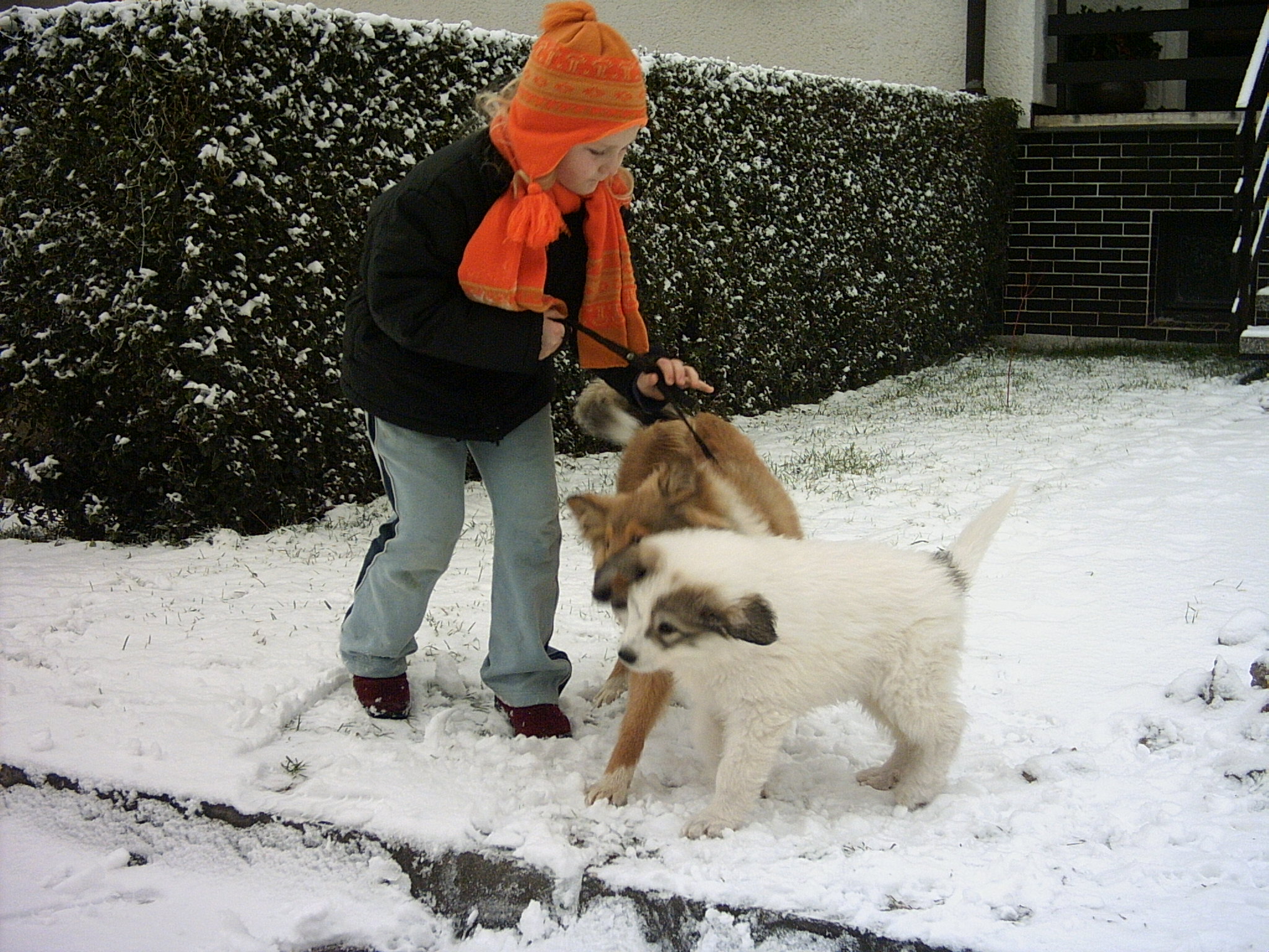 29.12.2006 Hry na sněhu 003.jpg