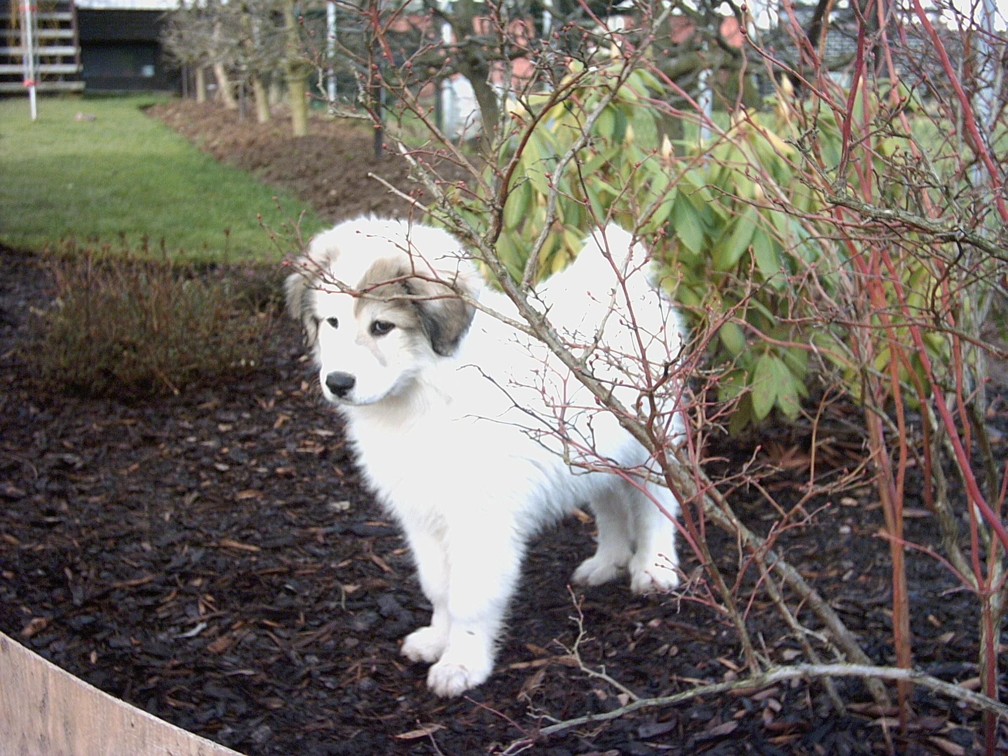 10.1.2007 018.jpg
