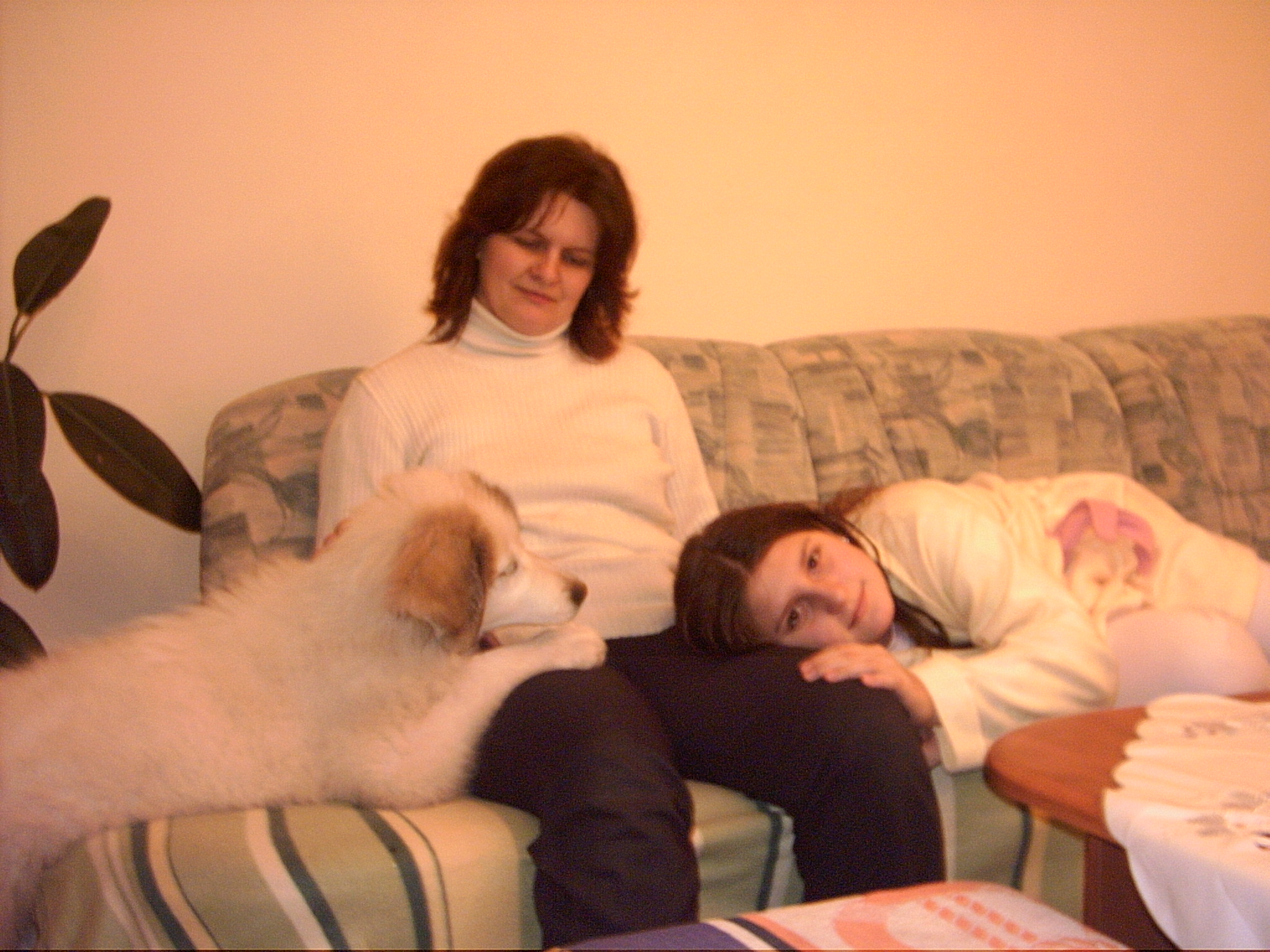14..2. 2007  Mazlíčci 007.jpg