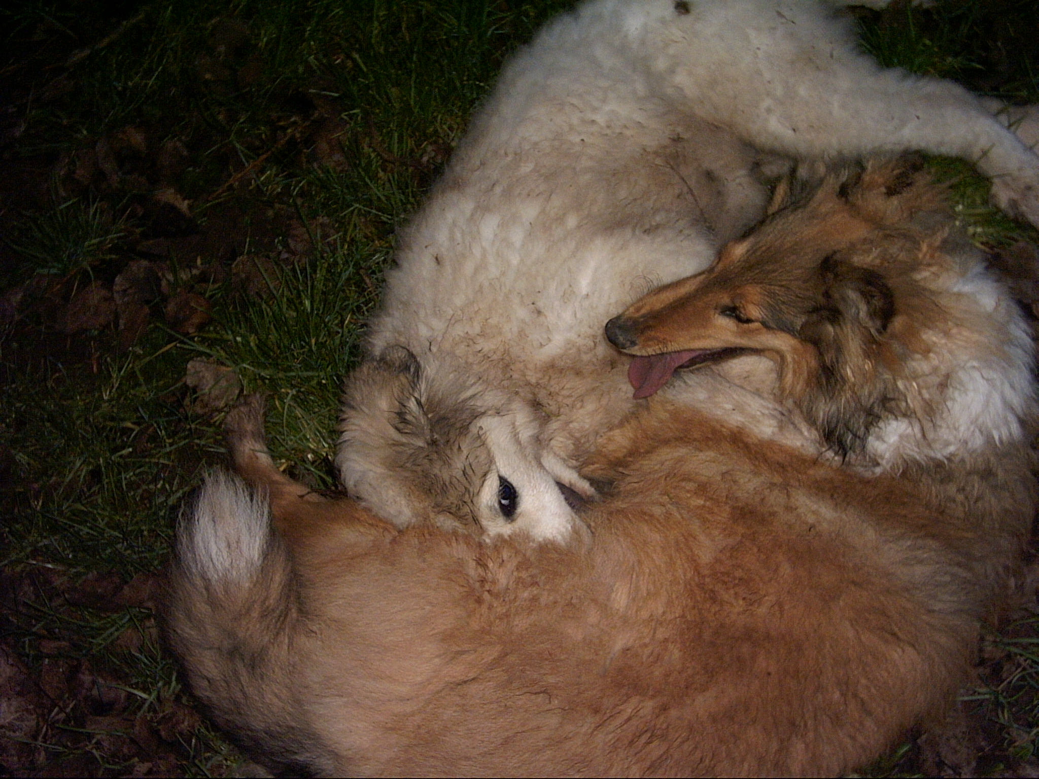18.2. 2007 Měření sil 013.jpg