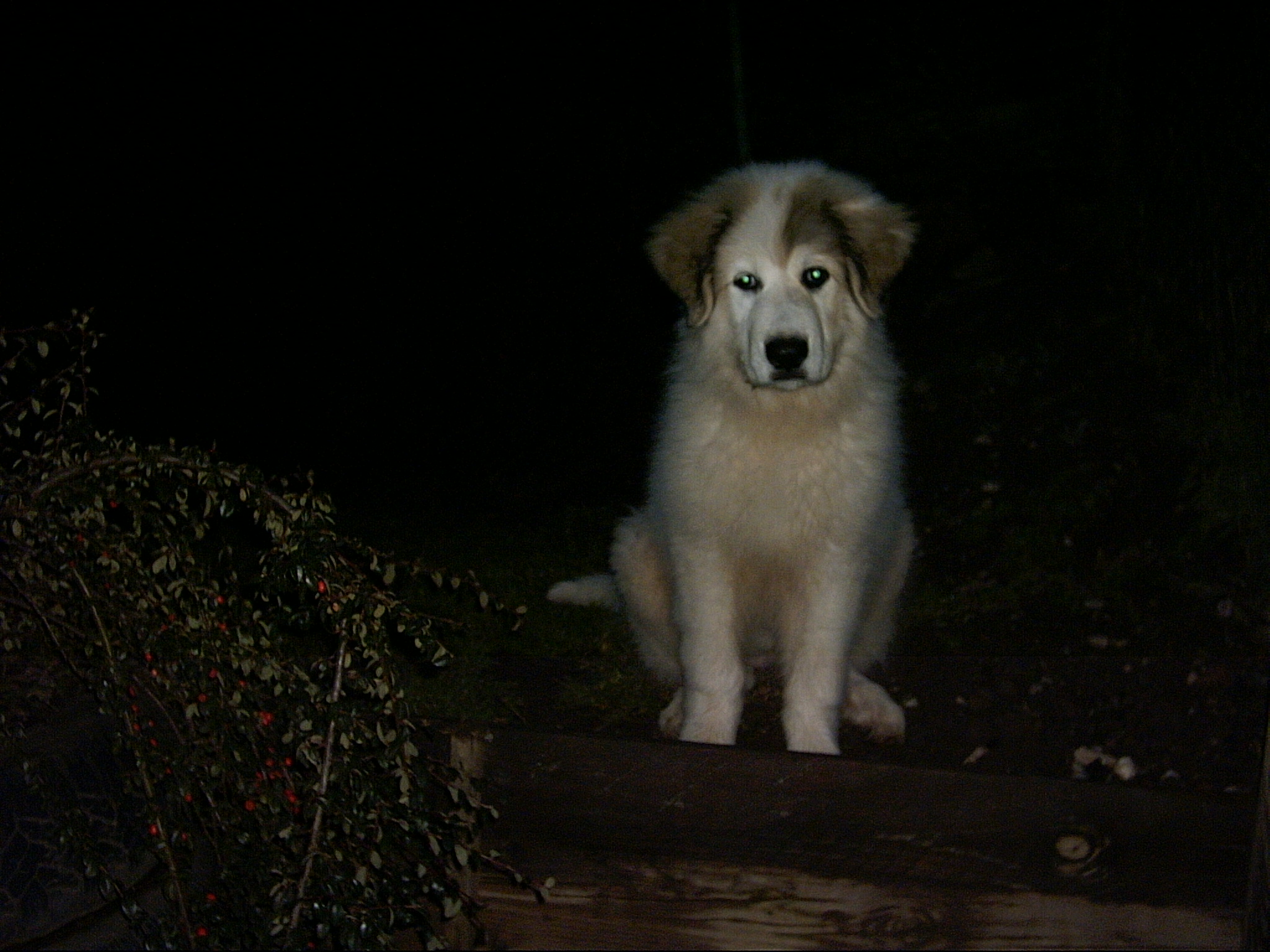 10.2. 2007  Večerní pozorování 004.jpg