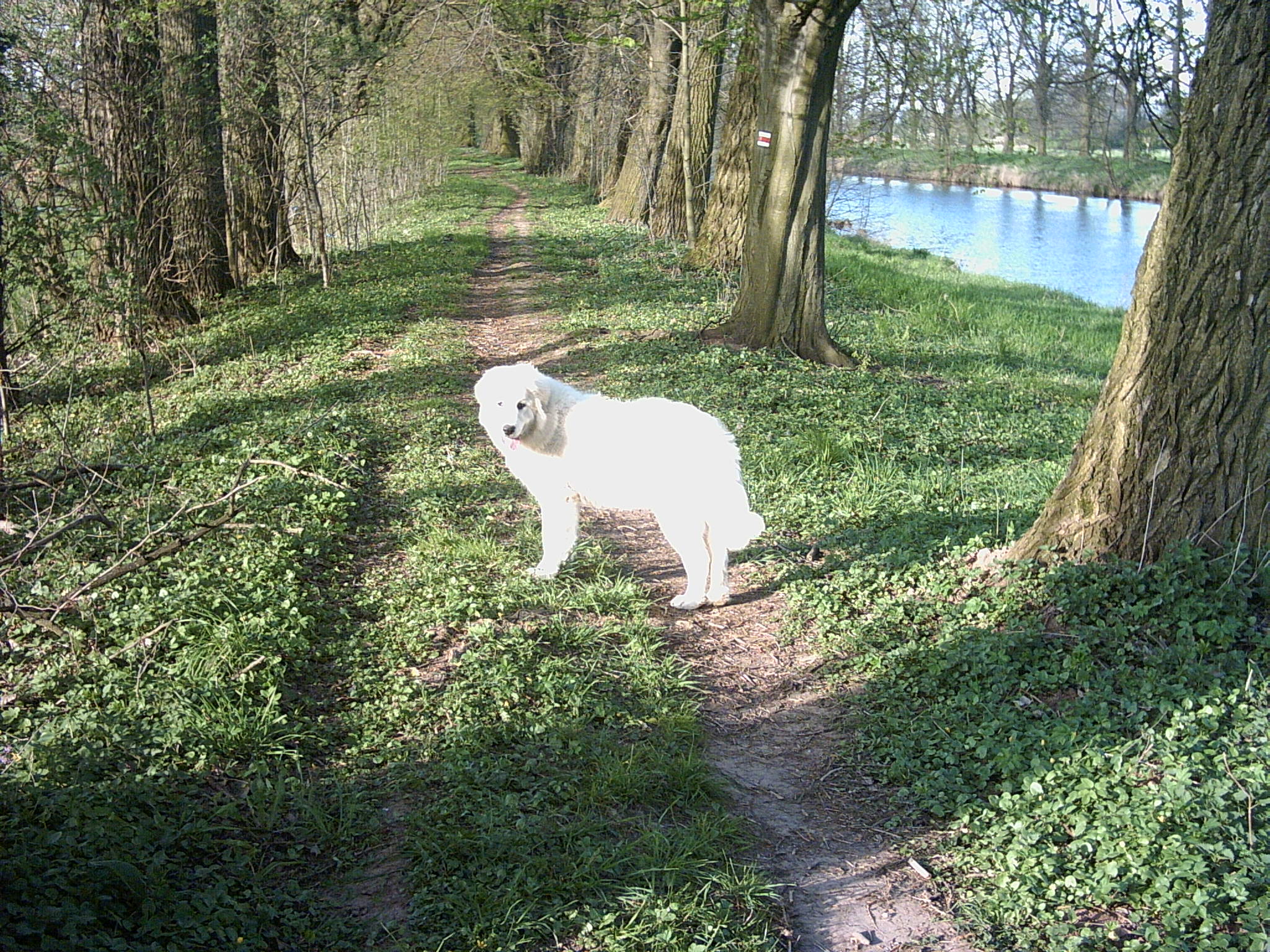 15.4.2007 Na procházce u Labe 001.jpg