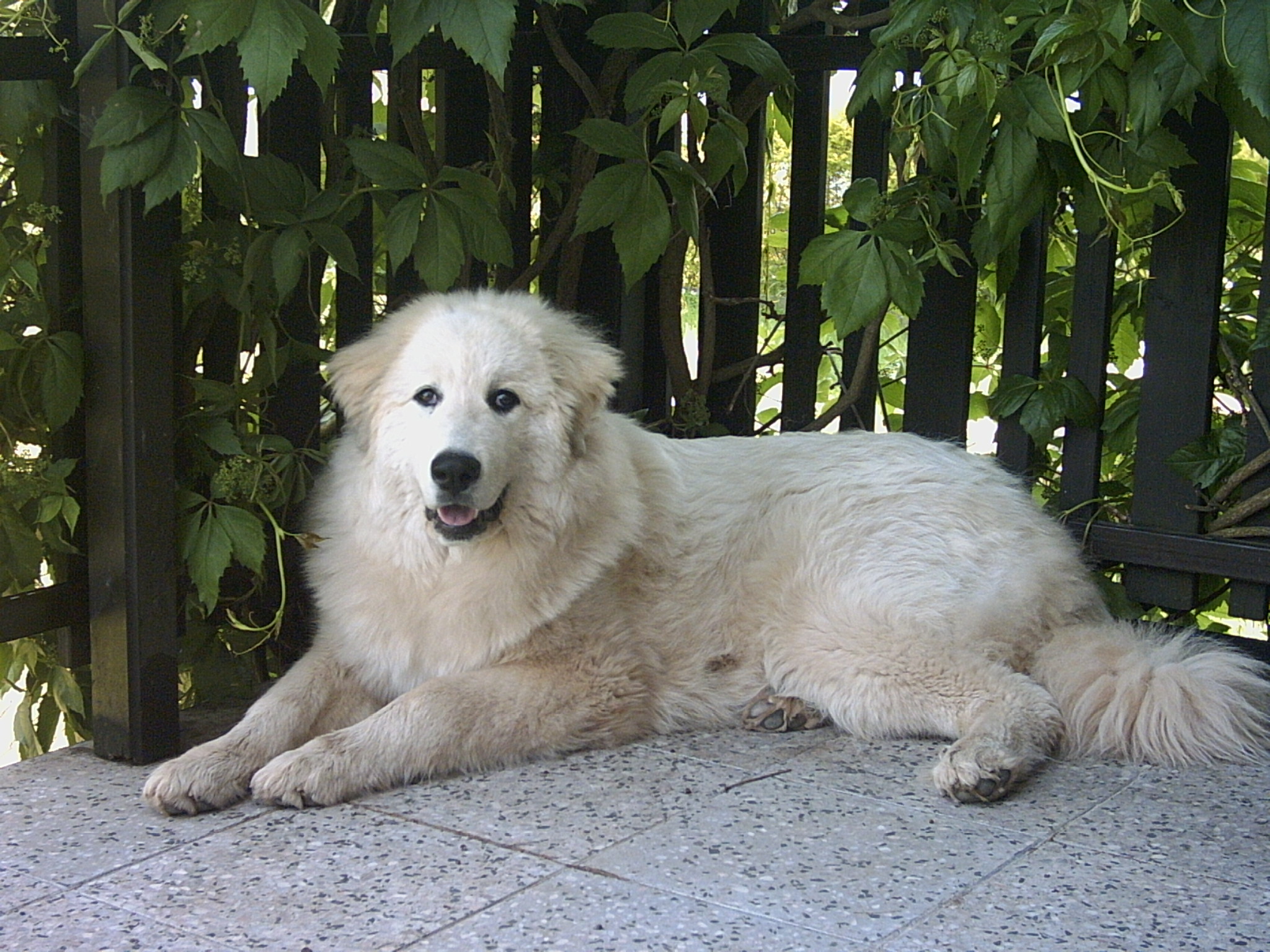 Květen 2007 020.jpg
