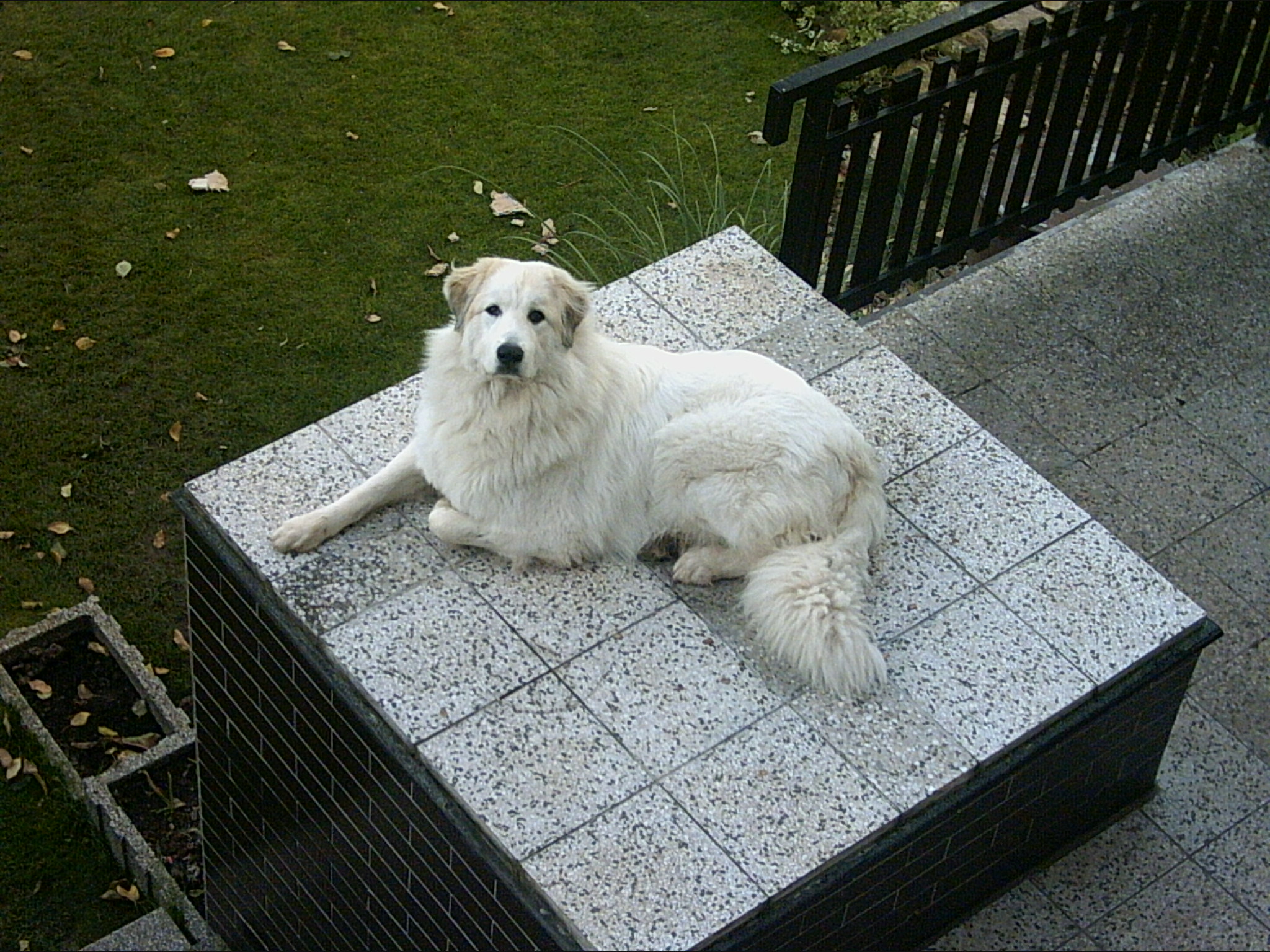 Říjen 2007 004.jpg