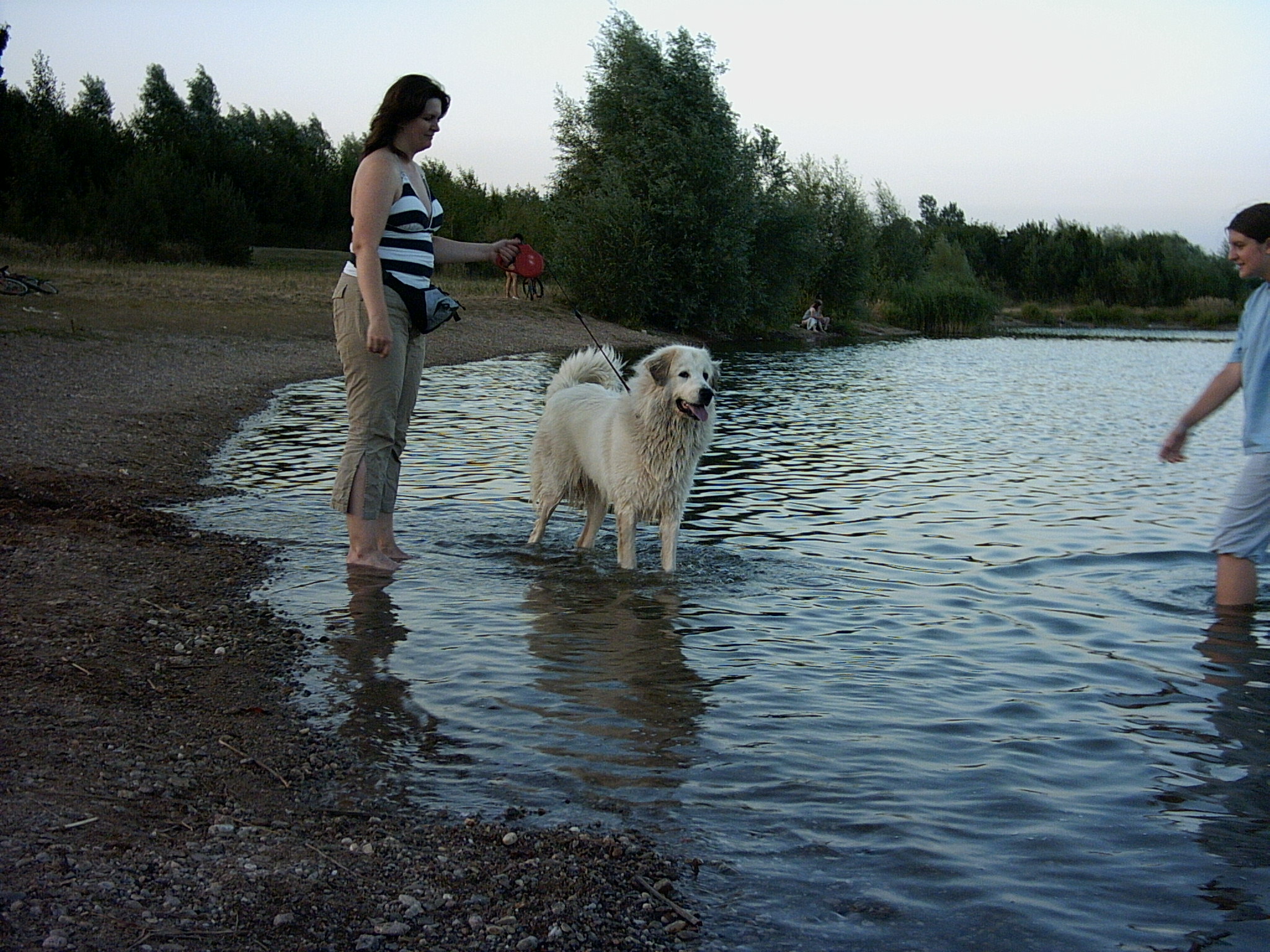 Koupačka v písáku  10.8. 2008 002.jpg
