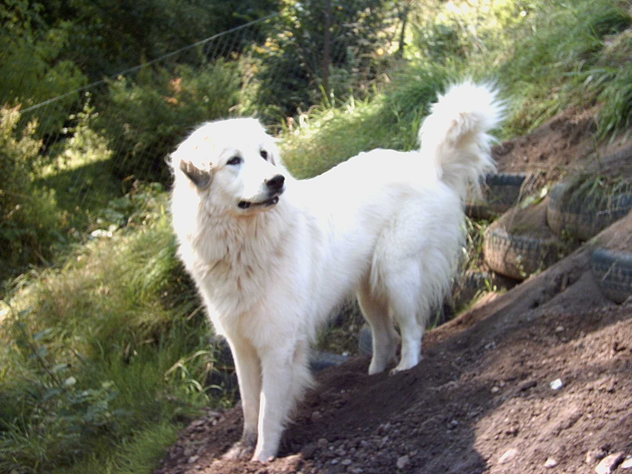 Prázdniny 2008 008.jpg