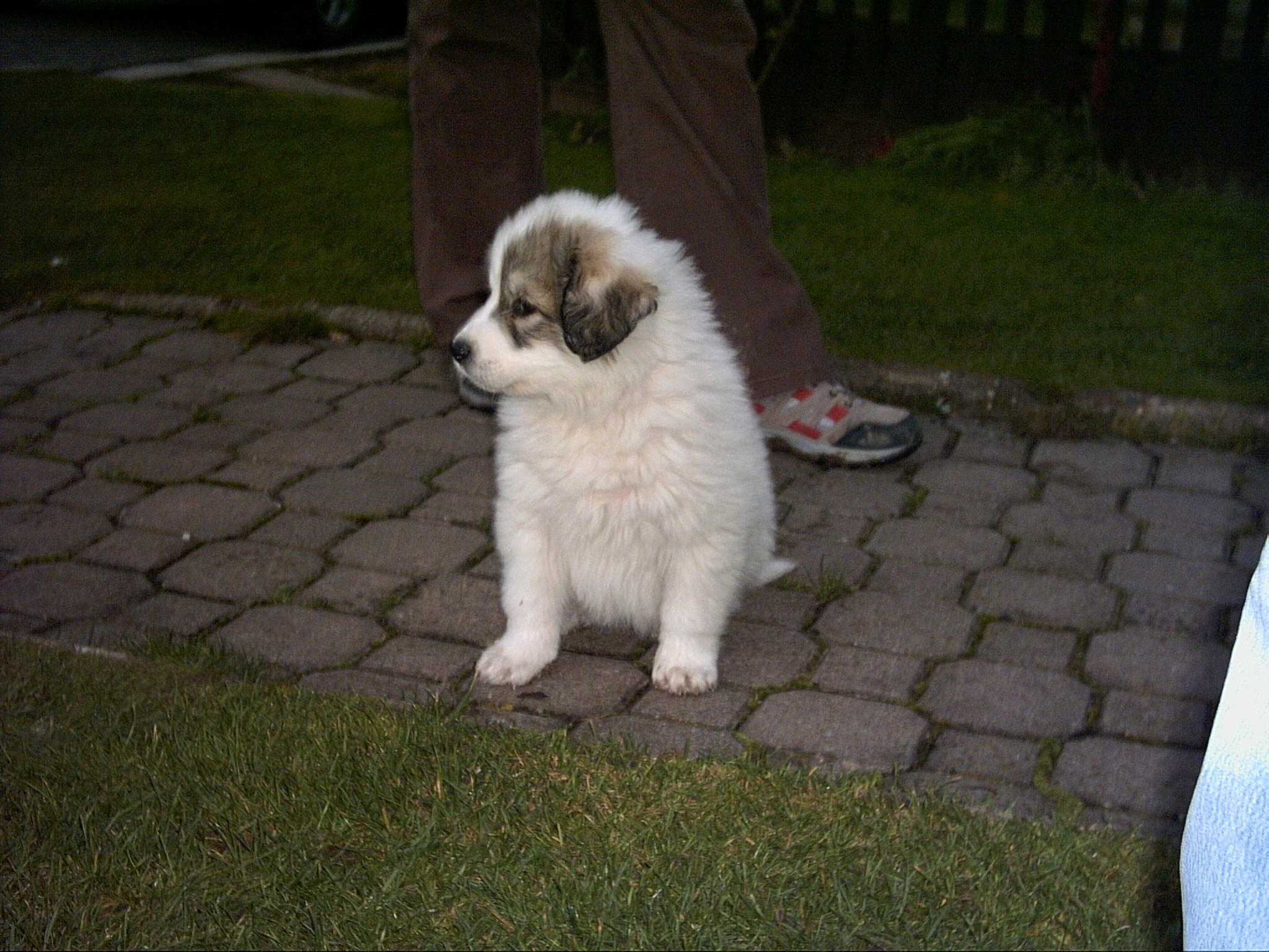 2006 12 16