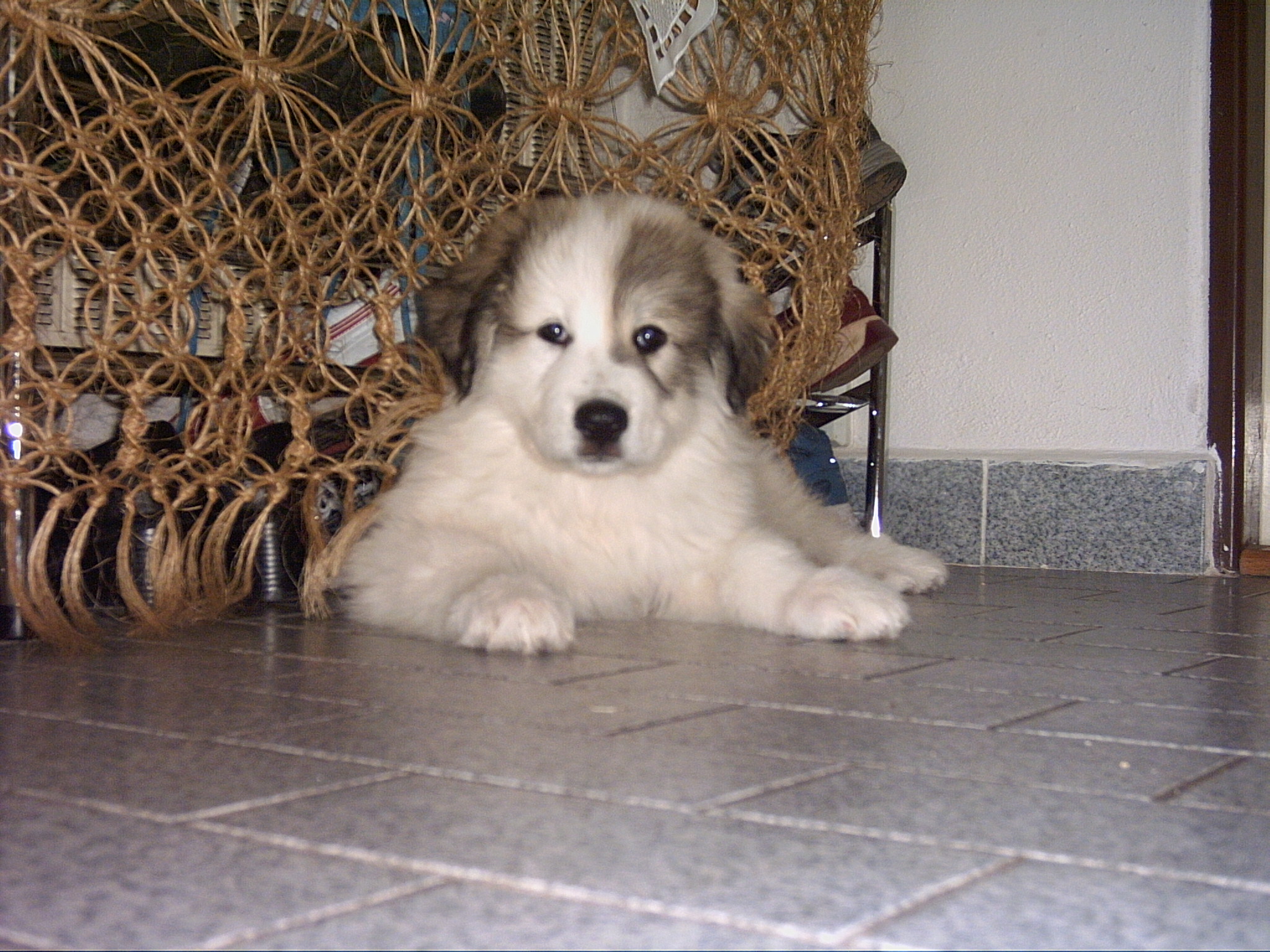 2006 12 26